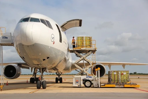 Export shipping and logistics